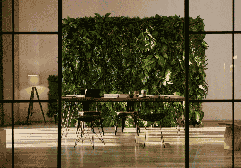 Biophilic design: so much more than adding some plants to the office