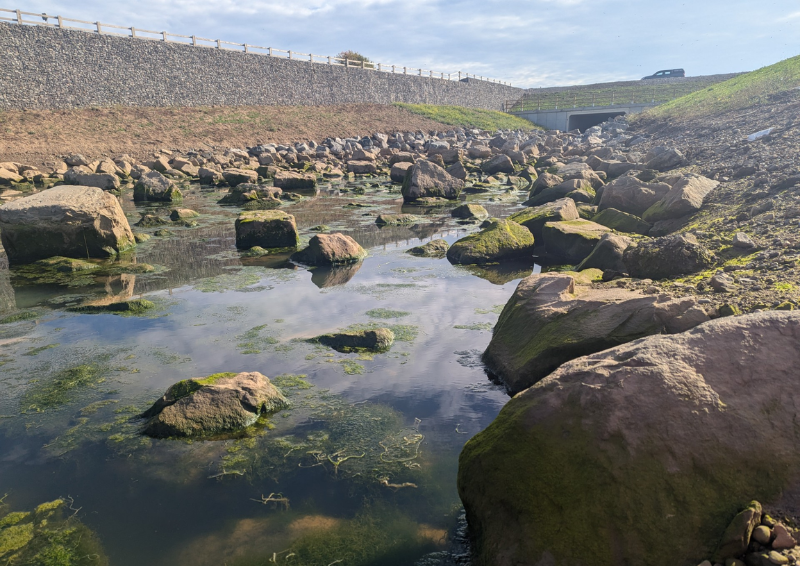 South Bank Watercourse: sustainable ground engineering at Teesworks with Dr. Janet Young