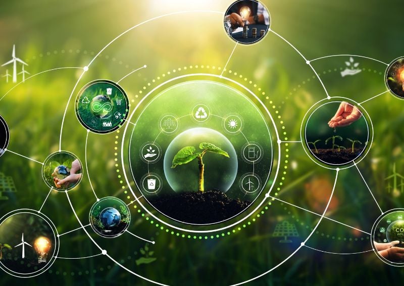 Ecosystem Strategy principles and learning gained from Project 13 adopters