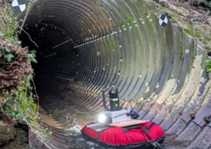 A31 New Ocknell Culvert Digital Bat Survey