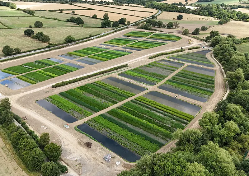 Dearne Reach Integrated Constructed Wetland