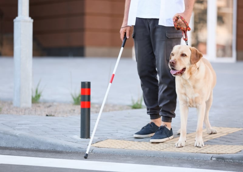 The gradient of kerbs has to be carefully designed to cater for different disabilities. Image credit: Shutterstock