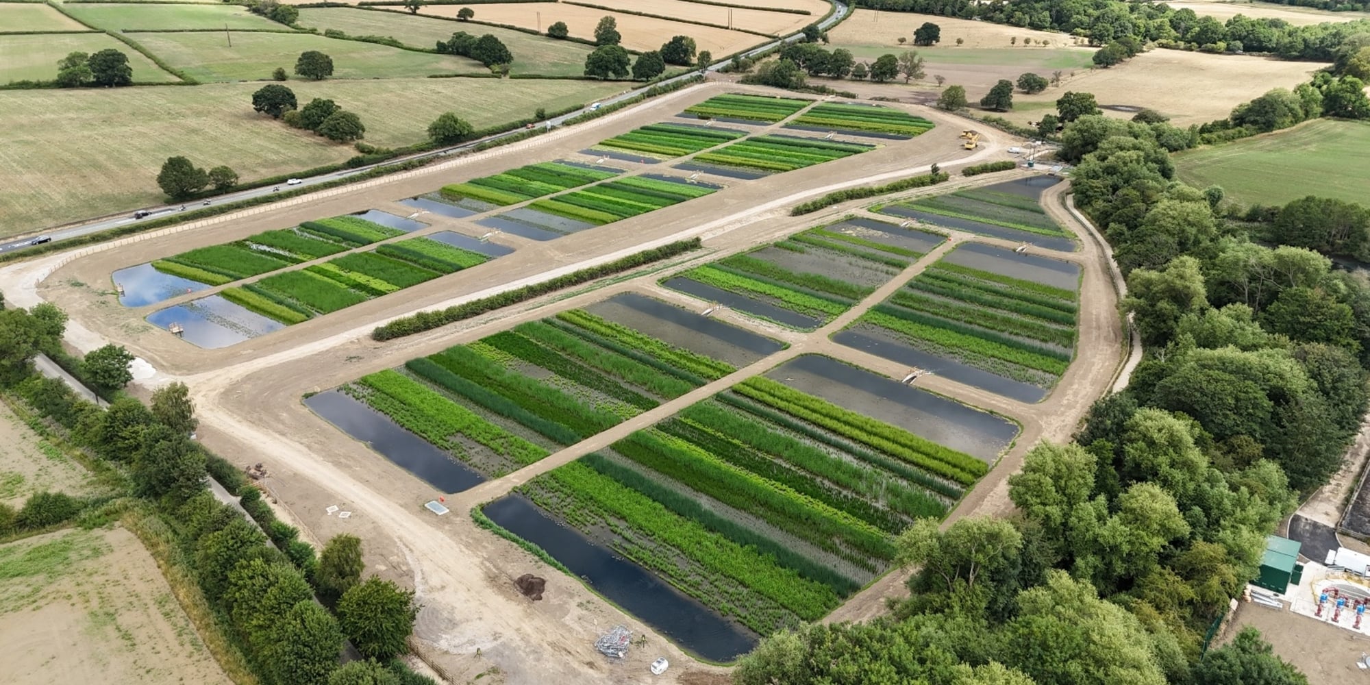 Dearne Reach Integrated Constructed Wetland