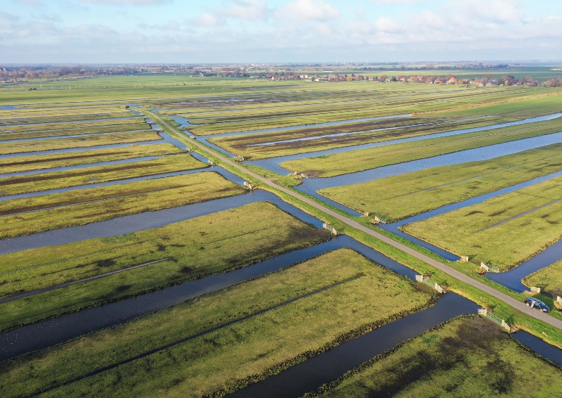 Polders are low-lying tracts of land reclaimed from the sea or rivers that are protected by dikes. Image credit: Shutterstock
