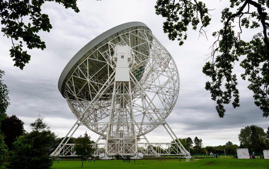 A large white radio telescope dish viewed from below, framed by tree branches, standing on a grassy field under a cloudy grey sky.
