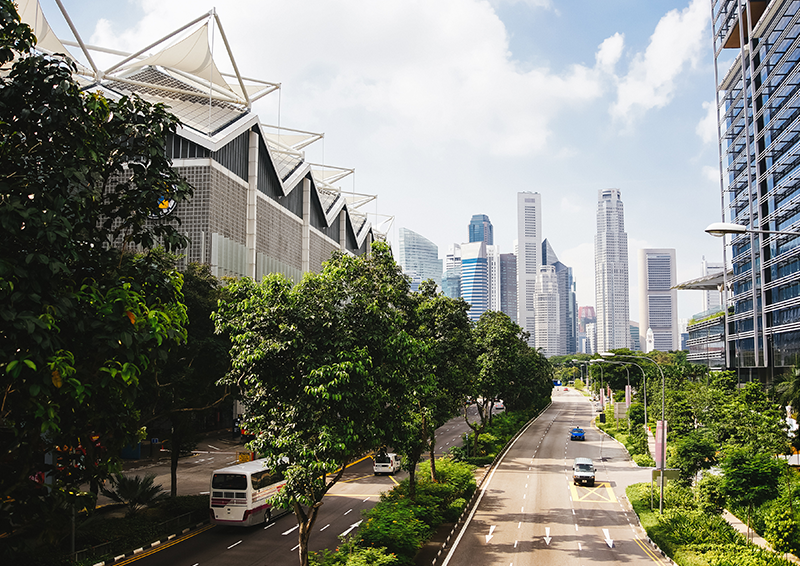 Resilience Community Forum: Building with nature – how biodiversity net gain is reshaping infrastructure design