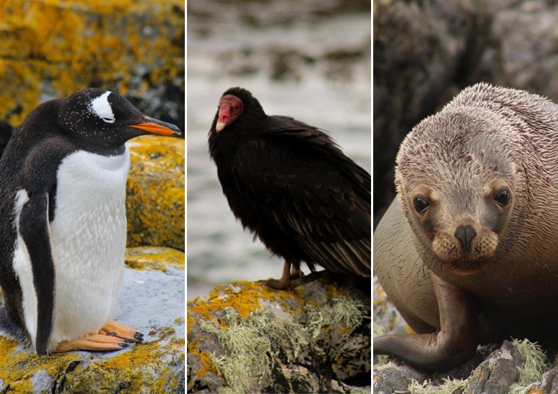 Mo is a talented photographer, and he enjoyed capturing some of the local wildlife. Image credit: Mo Kamara