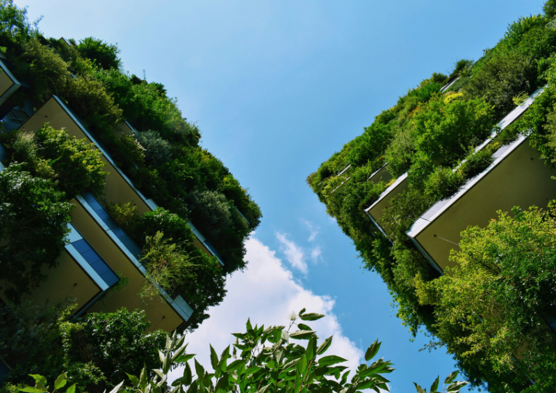Valuing nature as infrastructure