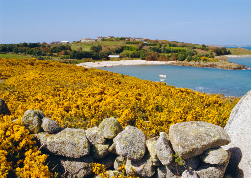A very Scilly problem: using biomimicry to inform climate resilient infrastructure