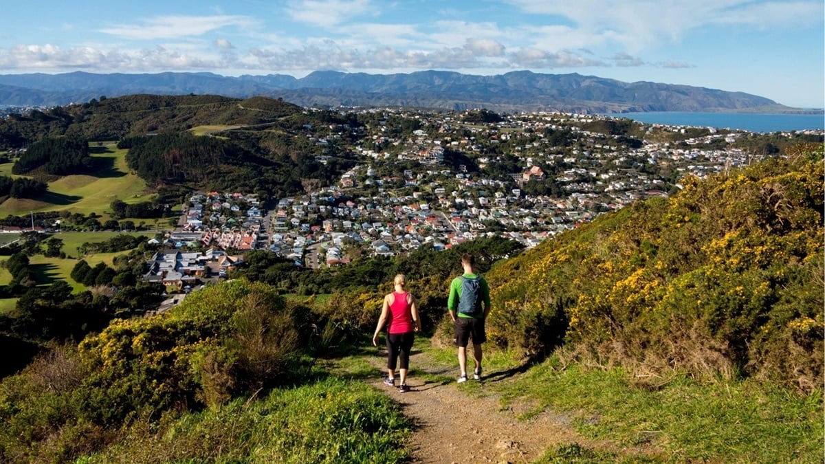 ebi help shape nz national infrastructure plan