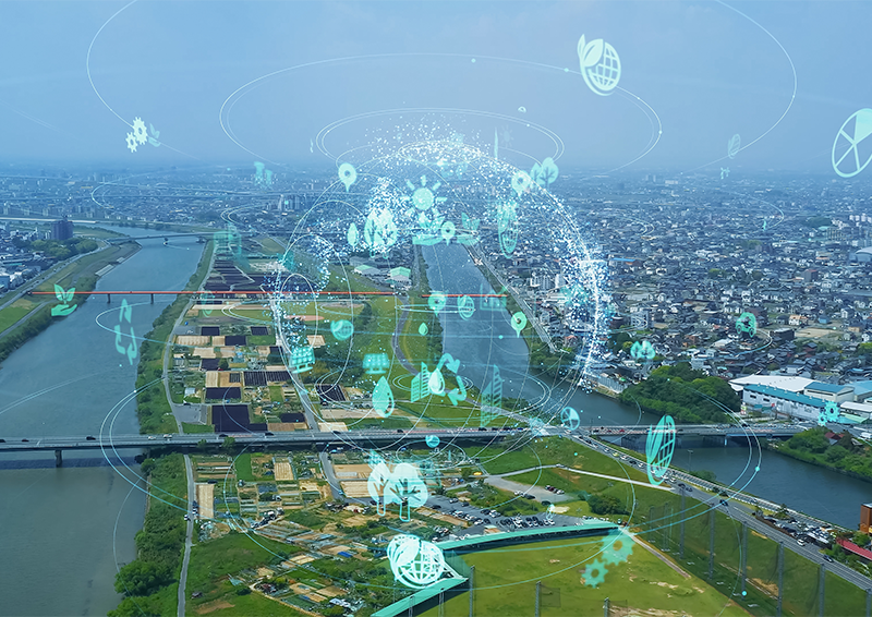 Decarbonisation Community Forum: low-carbon procurement and development
