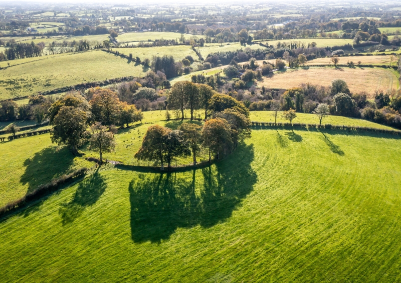 Across Ireland, fairy forts, or circular earthworks, are believed to be inhabited by the 'good people'. Image credit: Shutterstock