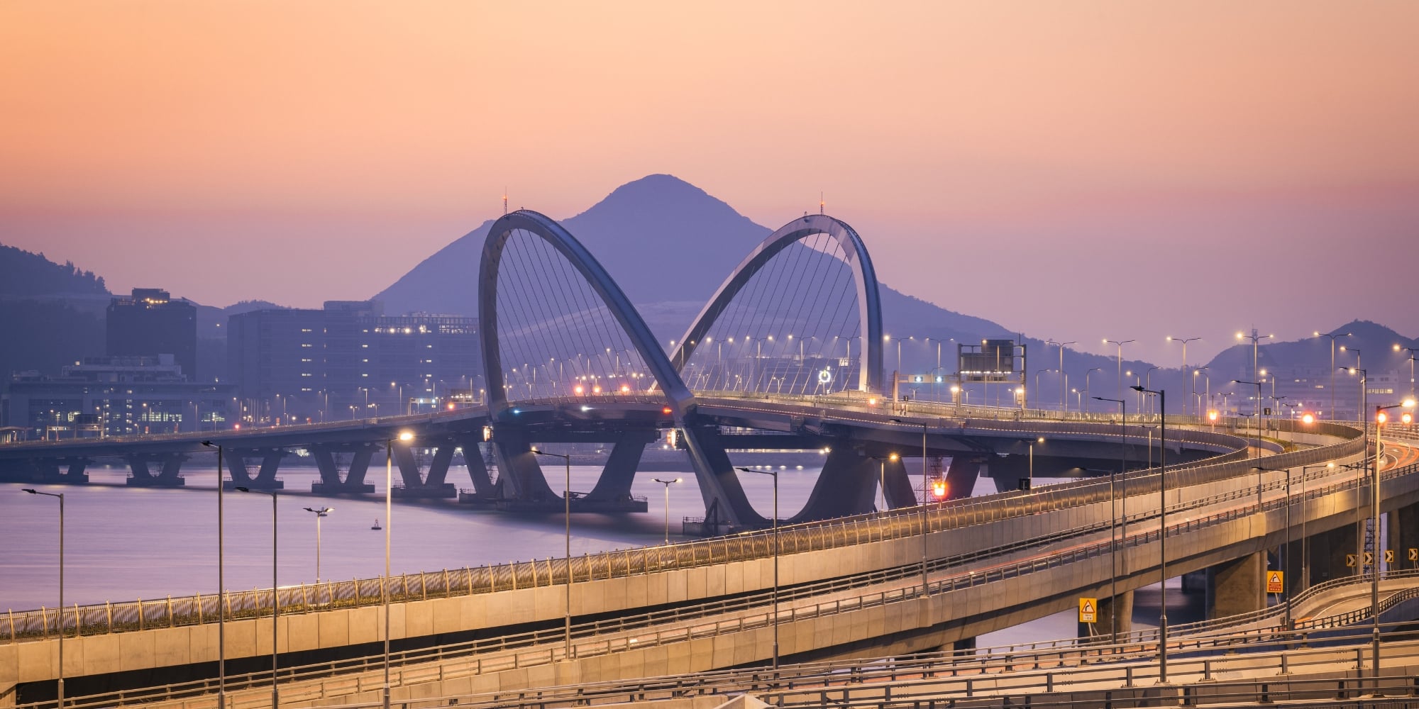 Cross Bay Link