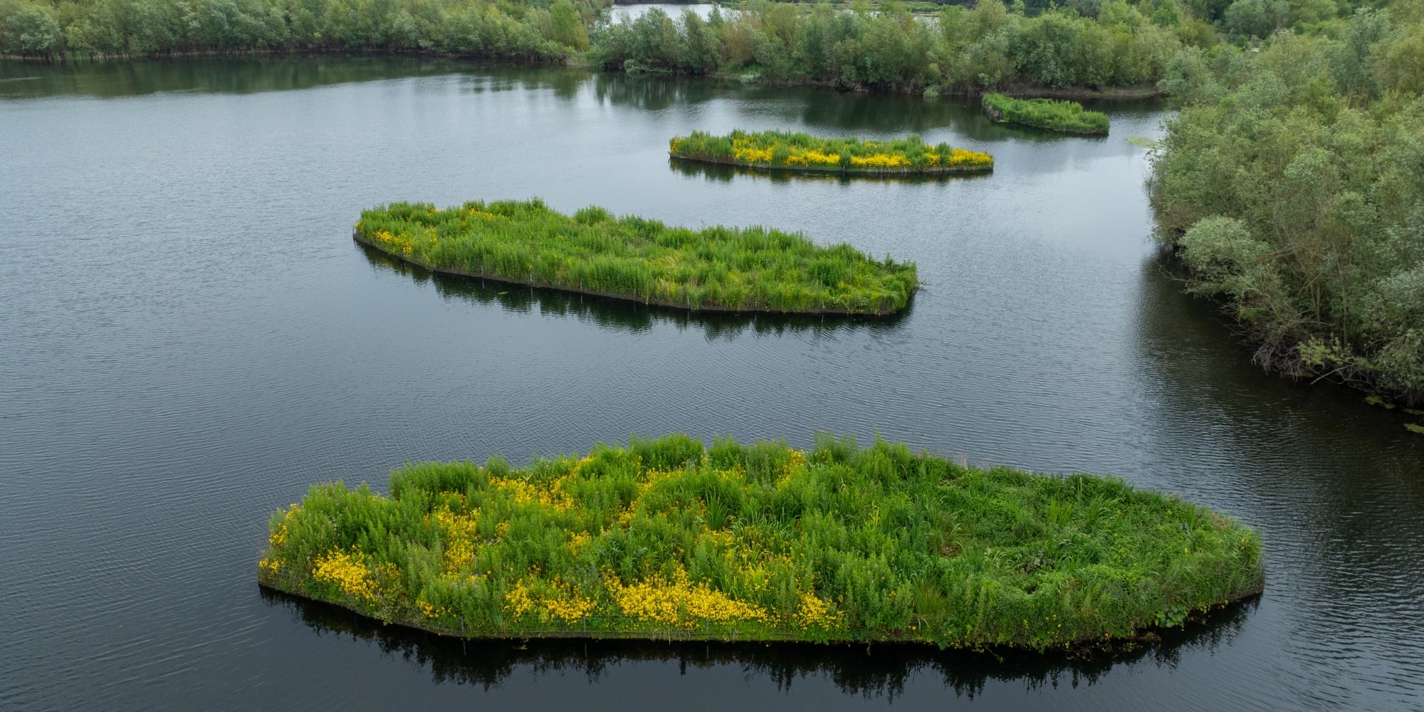 Nature's own water treatment plant