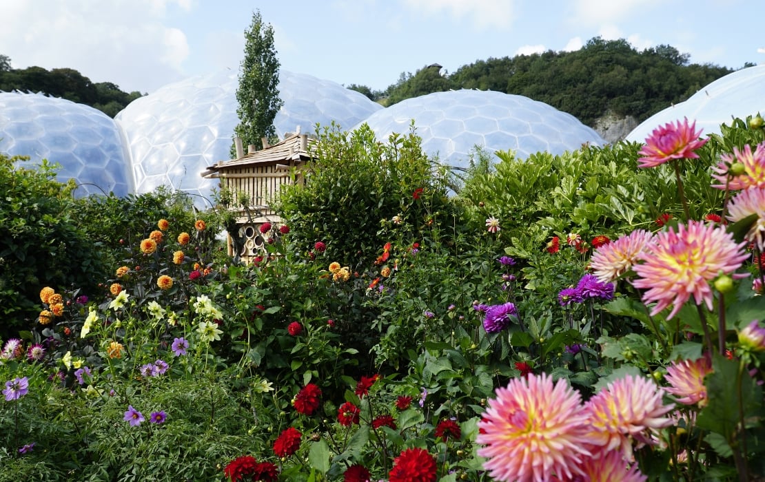 The Eden Project, Cornwall. Image credit: Shutterstock