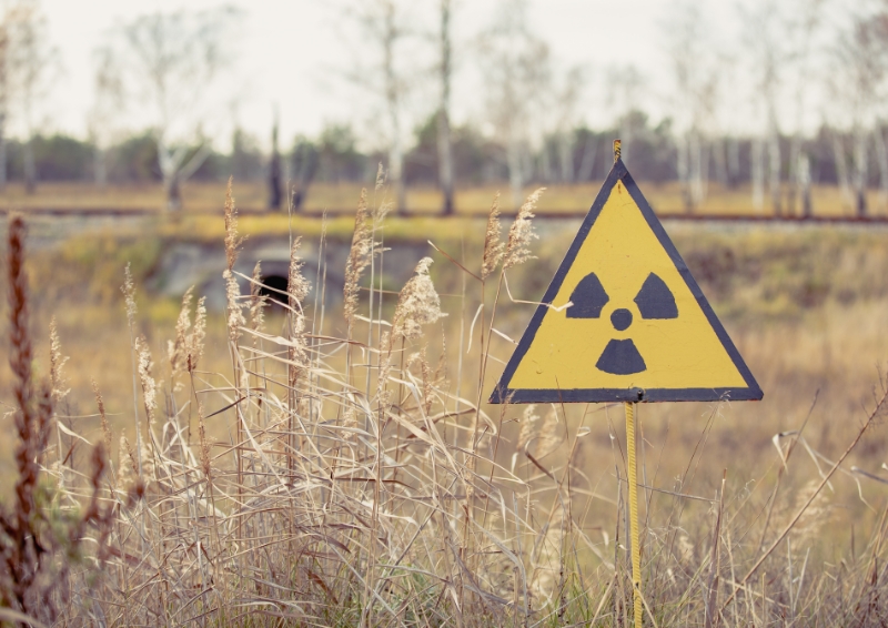 The Chernobyl nuclear disaster in 1986 released large amounts of radiation into the environment. Image credit: Shutterstock